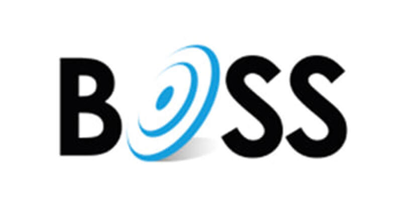 Business Oriented Software Solutions--branding and logo